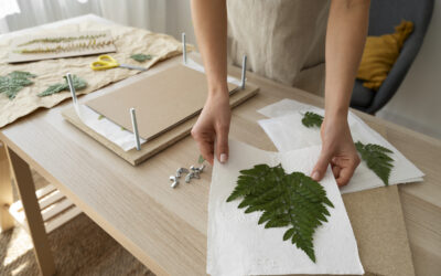 Sustainable Fabrics